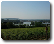 Blick auf den Rhein