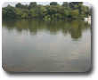 Der malerische Rhein