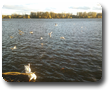 Herbst in Oestrich-Winkel