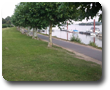 Nochmal der Rheinweg