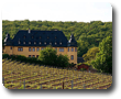 Schloss Vollrads