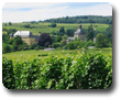 Schloss Vollrads