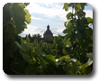 Schloss Vollrads